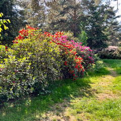 23-06-03 16-46-21 5798